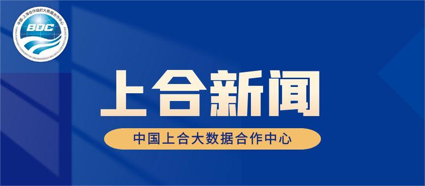 巴基斯坦专家探讨在中国开展人工智能合作